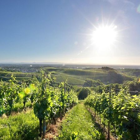 Ferienwohnungen Weingut Pieper Basler Offenburg Dış mekan fotoğraf